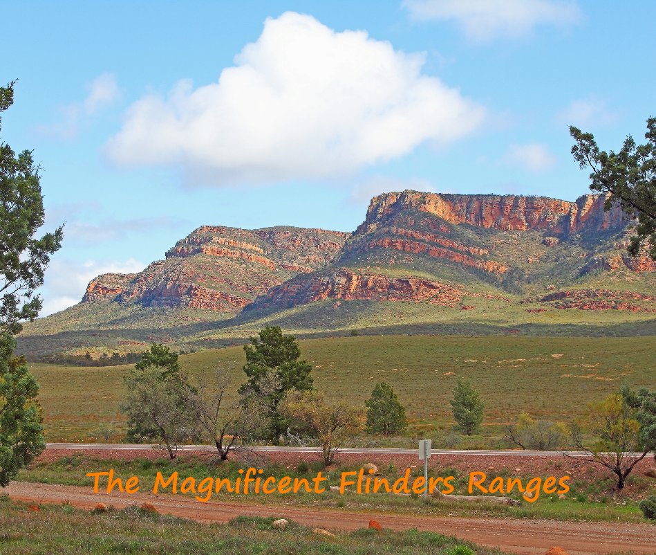 View The Magnificent Flinders Ranges by Richard Bartholomaeus