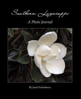 Southern Lagniappe book cover