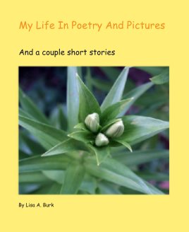 My Life In Poetry And Pictures book cover