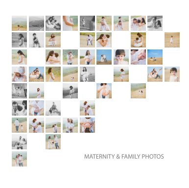 Maternity & Family book cover