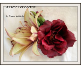 A Fresh Perspective book cover