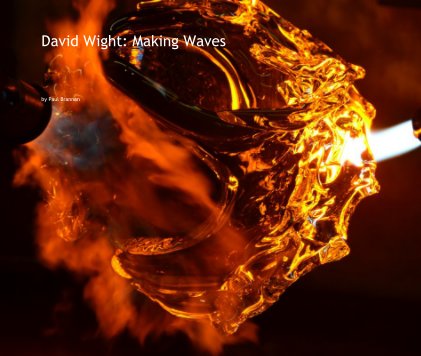 David Wight: Making Waves book cover
