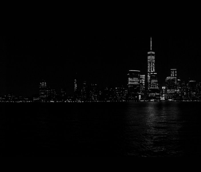 View New York City II by Alex Louis