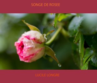 Songe de rosée book cover