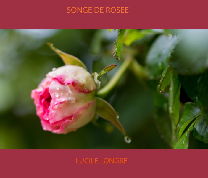Visualizza Songe de rosée di Lucile Longre
