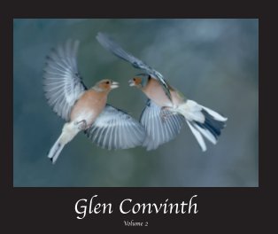 Glen Convinth Volume 2 Hardcover book cover