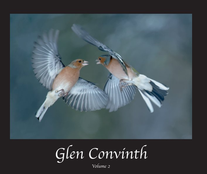 Bekijk Glen Convinth Volume 2 Hardcover op Nick Sidle