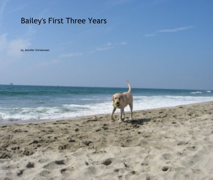 Bailey's First Three Years book cover