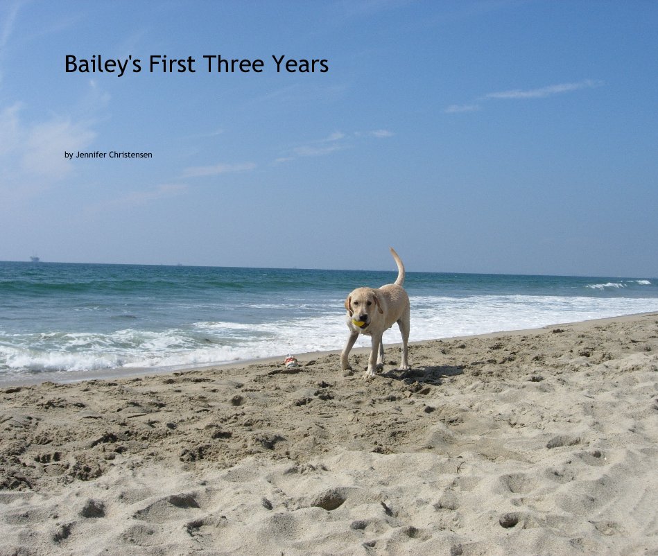 View Bailey's First Three Years by Jennifer Christensen