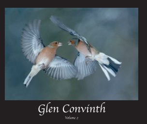 Glen Convinth Volume 2 Soft Cover book cover
