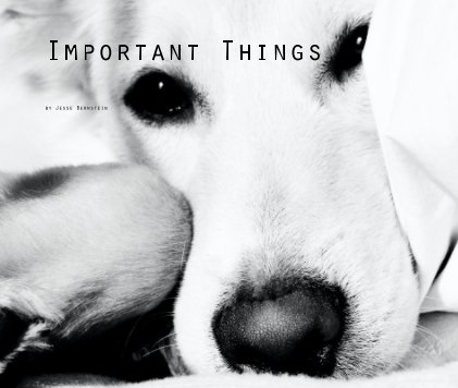 Important Things book cover