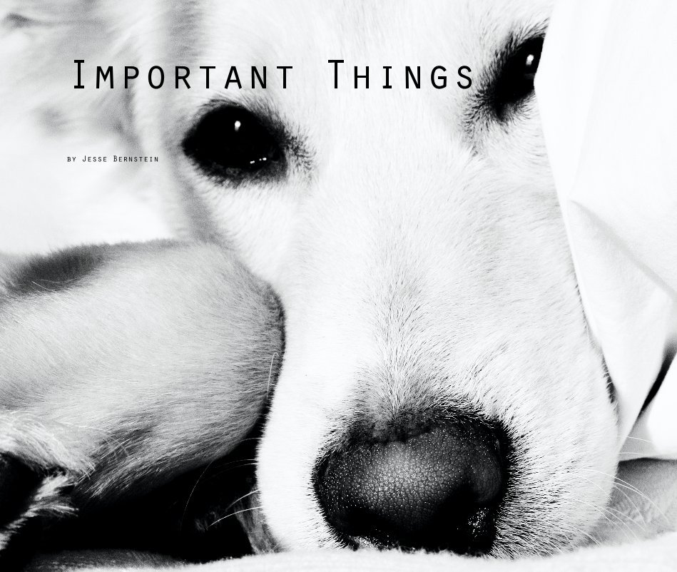 View Important Things by Jesse Bernstein