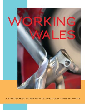 Working Wales book cover