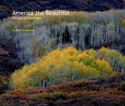 America the Beautiful book cover