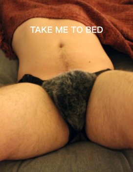 Take Me to Bed book cover