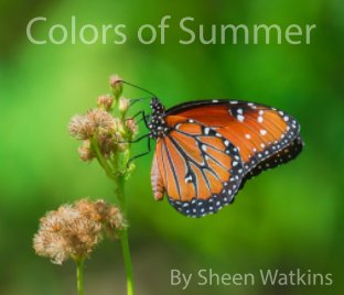 Colors of Summer book cover