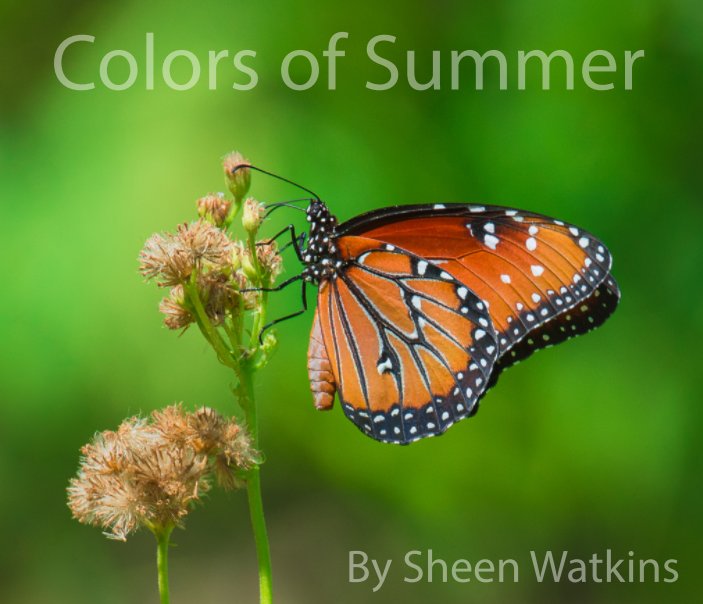 Bekijk Colors of Summer op Sheen Watkins