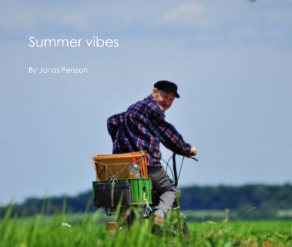 Summer vibes book cover