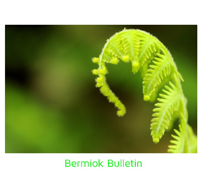 View Bermiok Bulletin by Shubhadip Ghosh