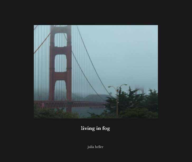 View living in fog by julia heller
