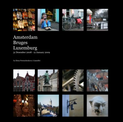 Amsterdam Bruges Luxemburg book cover