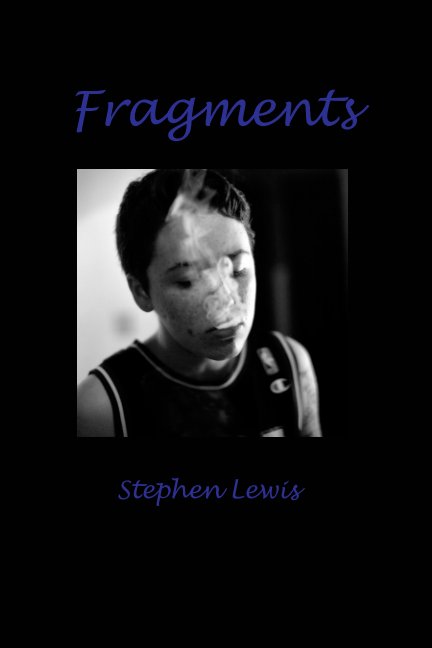 View Fragments by Stephen Lewis