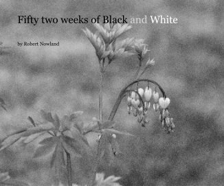 Fifty two weeks of Black and White book cover