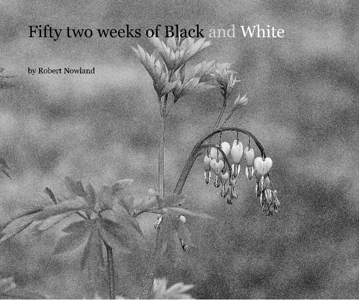 View Fifty two weeks of Black and White by Robert Nowland