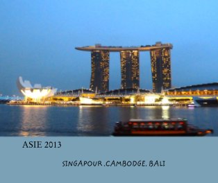 ASIE 2013 book cover