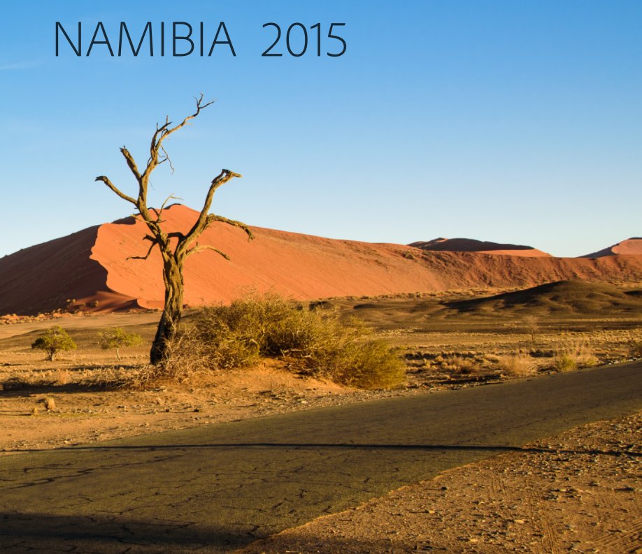 View Namibia 2015 by Monika Bruendler
