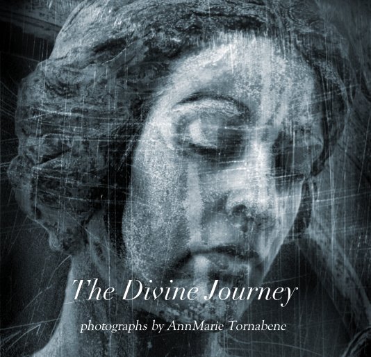 View The Divine Journey by AnnMarie Tornabene