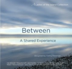 Between A Shared Experience book cover