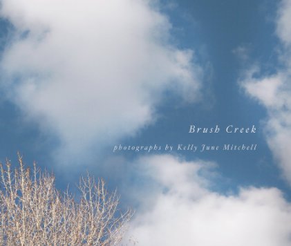 Brush Creek book cover