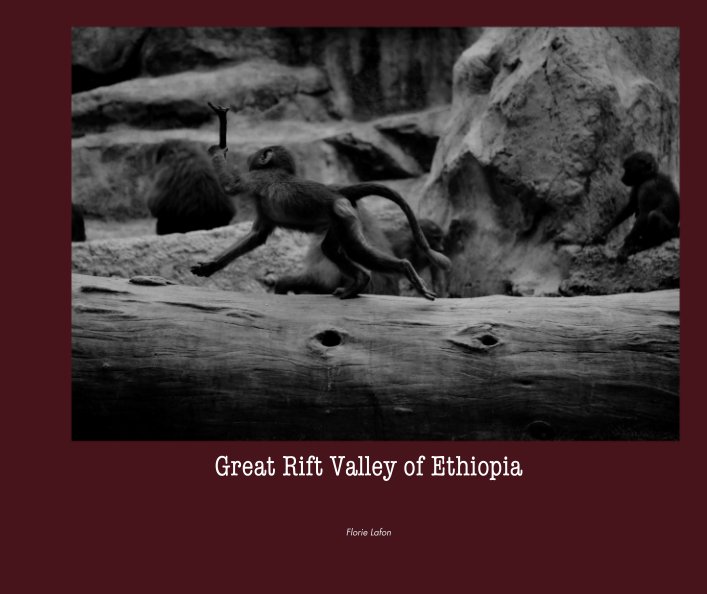 Great Rift Valley of Ethiopia nach Florie Lafon anzeigen