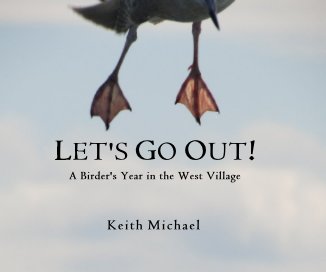 LET'S GO OUT! book cover