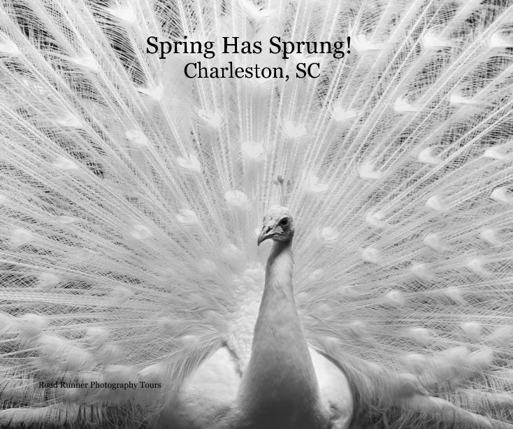 Bekijk Spring Has Sprung! Charleston, SC op Road Runner Photography Tours