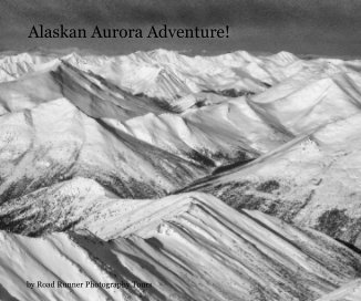 Alaskan Aurora Adventure! book cover