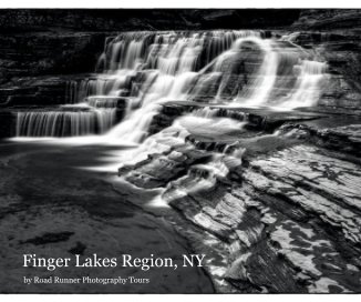 Finger Lakes Region, NY book cover