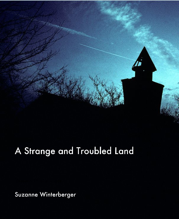 View A Strange and Troubled Land by Suzanne Winterberger