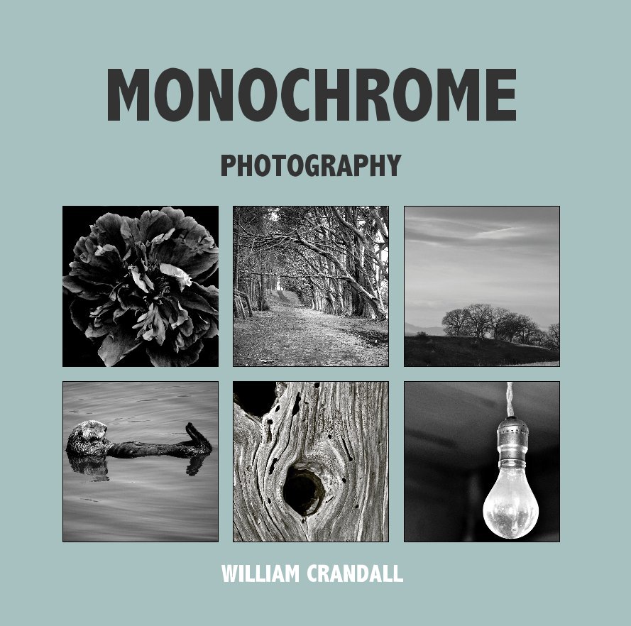 View MONOCHROME by WILLIAM CRANDALL