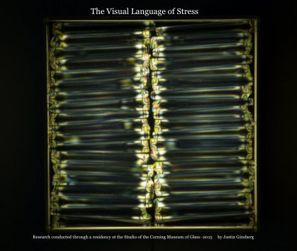 The Visual Language of Stress book cover