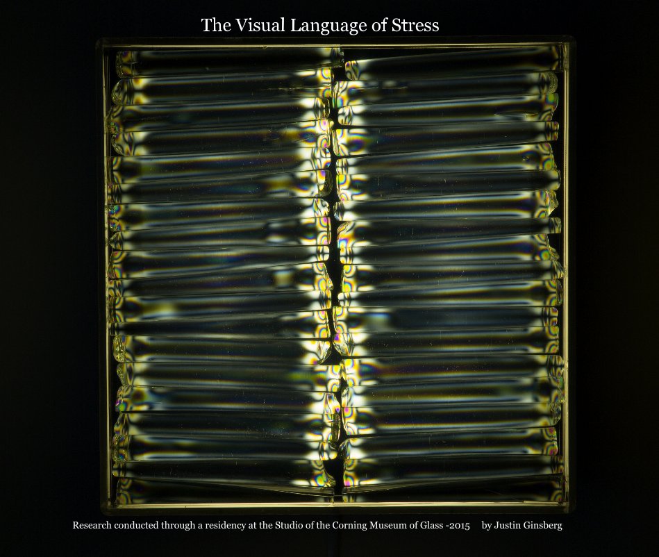 View The Visual Language of Stress by Justin Ginsberg