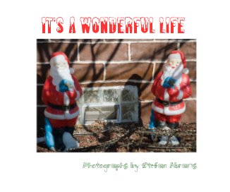It's a Wonderful Life Photographs by Stefan Abrams book cover