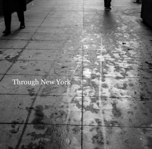Ver Through New York por Meredith Courtney Photography