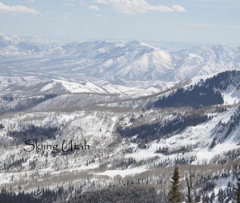 View Skiing Utah by Kurt Nellhaus