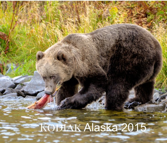 View Kodiak Brown Bears by Jerry Chase, Patricia Chase