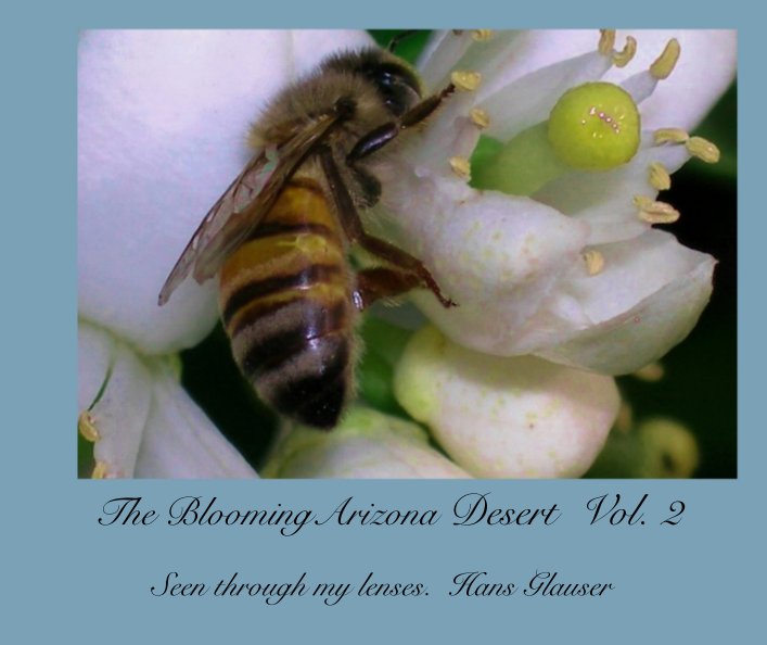 View The BloomingArizona Desert  Vol. 2 by Seen through my lenses.  Hans Glauser