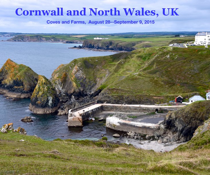 View Cornwall and North Wales, UK by Richard Leonetti