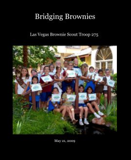 Bridging Brownies book cover