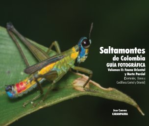 Saltamontes de Colombia - Guía Fotográfica book cover